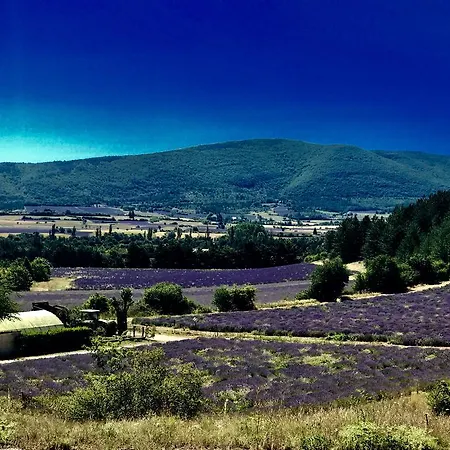Gasthof Holiday D'avignon Et Pinede *