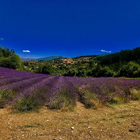 Gasthof Holiday D'avignon Et Pinede *