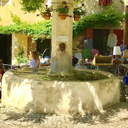Gasthof Holiday D'avignon Et Pinede *
