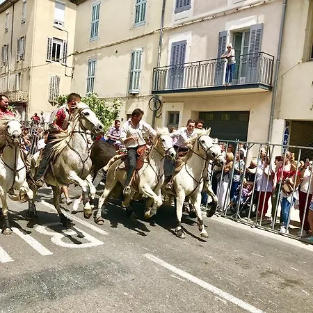 Gasthof Holiday D'avignon Et Pinede *