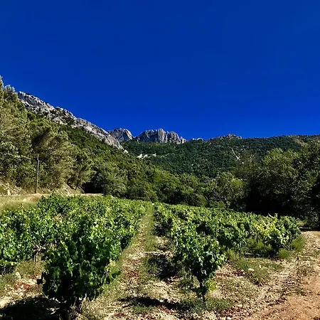 Holiday D'avignon Et Pinede * Les Angles (Gard)