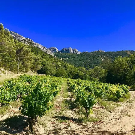 Holiday D'avignon Et Pinede Penzion Les Angles (Gard)