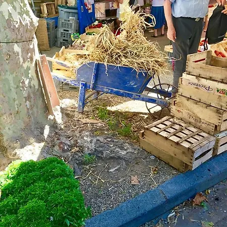 Holiday D'avignon Et Pinede Penzion Les Angles (Gard)